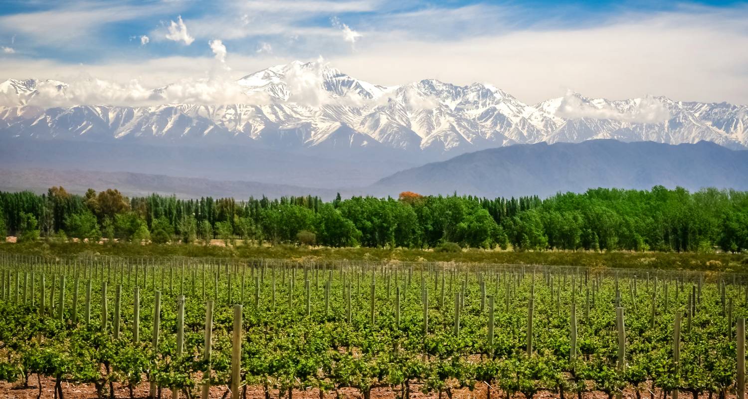 Wines & Wonders of South America - Wendy Wu Tours