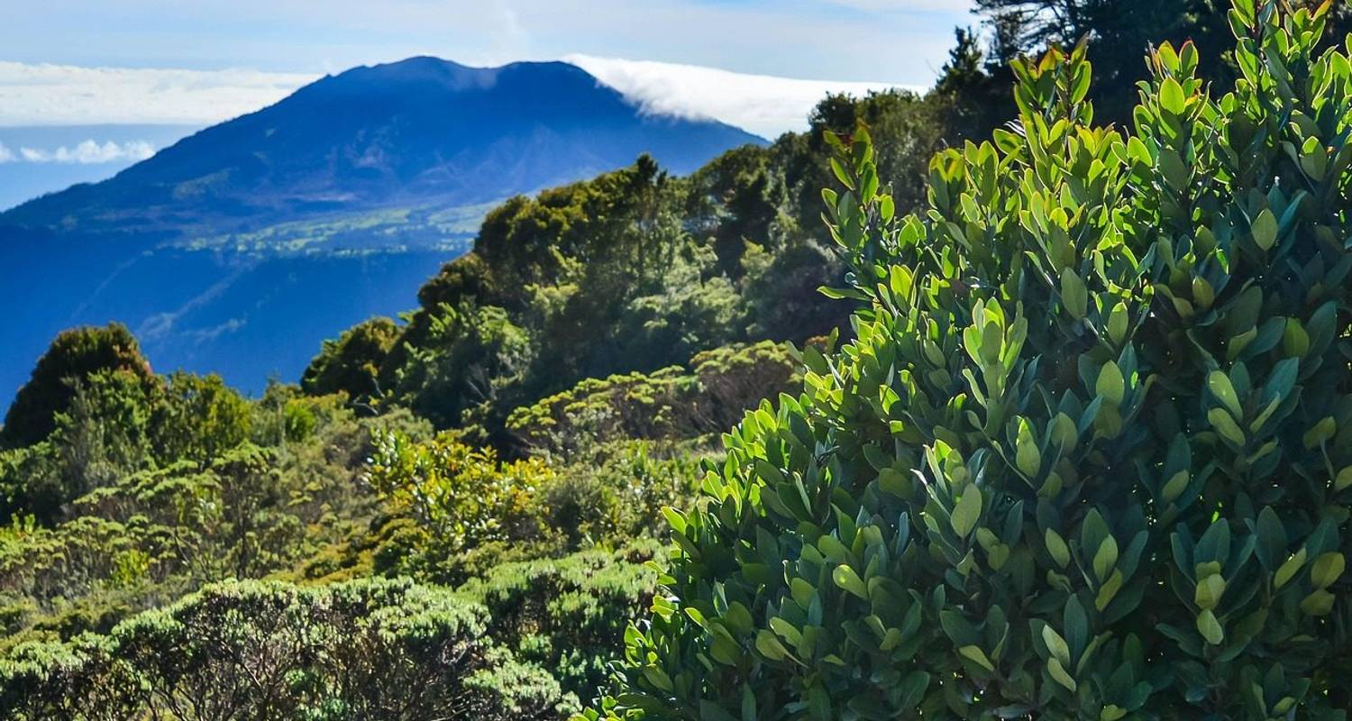 Retraite bien-être et aventure de 8 jours au Costa Rica - Across Caribbean Excursions