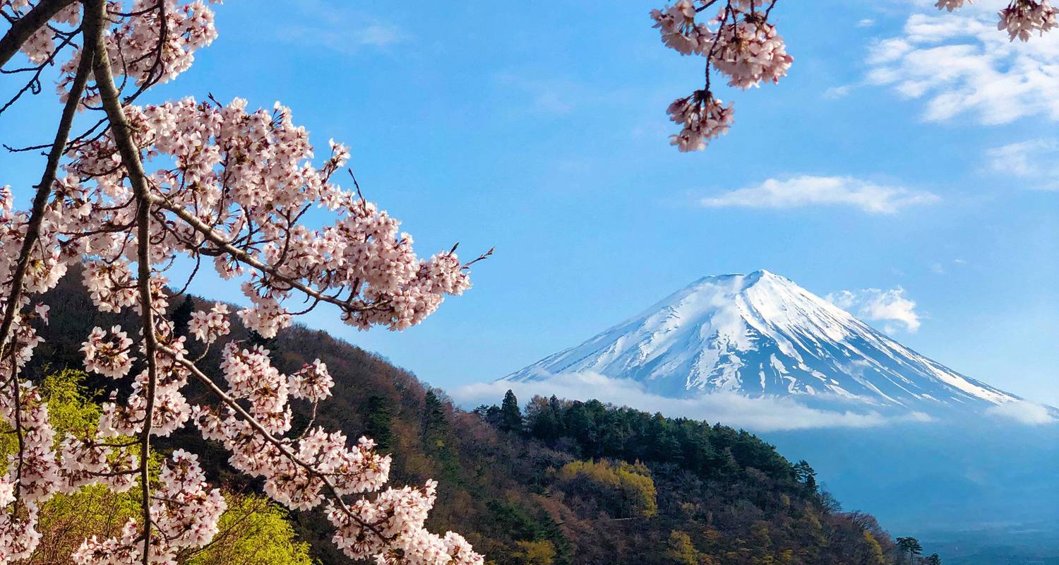 Circuit de 5 jours au Japon : Tokyo et le Mont Fuji - The Dragon Trip