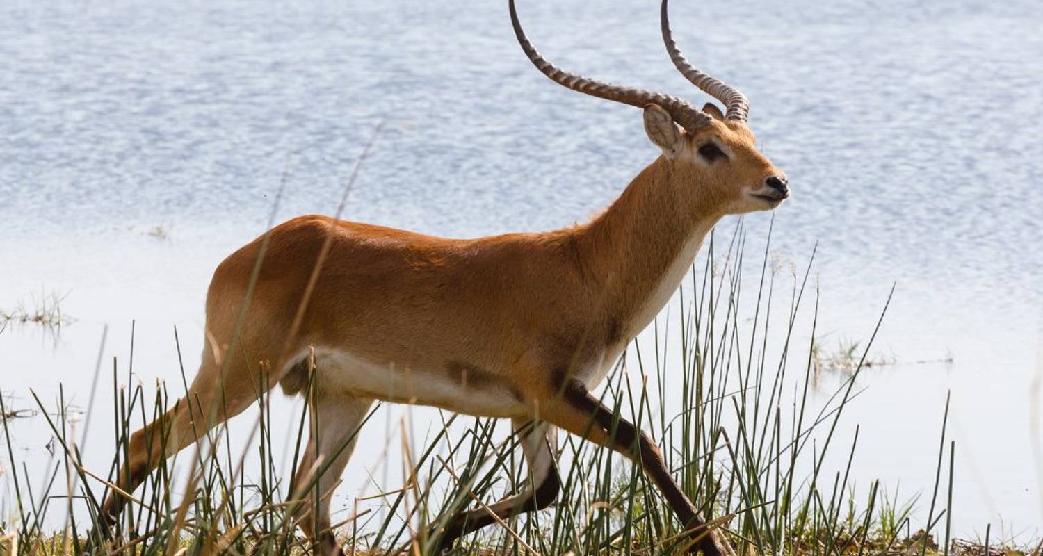 2 jours - Safari en mokoro dans le delta de l'Okavango - Aventure aquatique - Knap Tours Limited