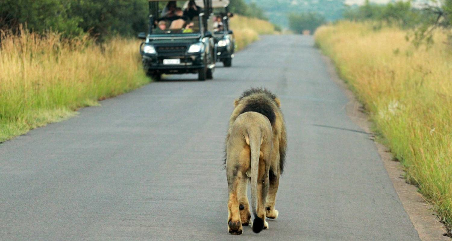 2 jours - Pilanesberg Safari & Game Drive Combo - Knap Tours Limited