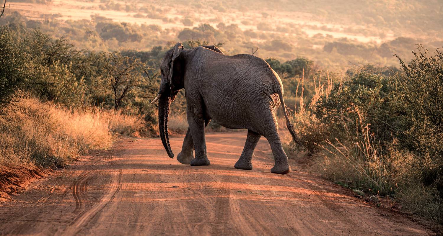 Afrique : Circuits autonome 2026