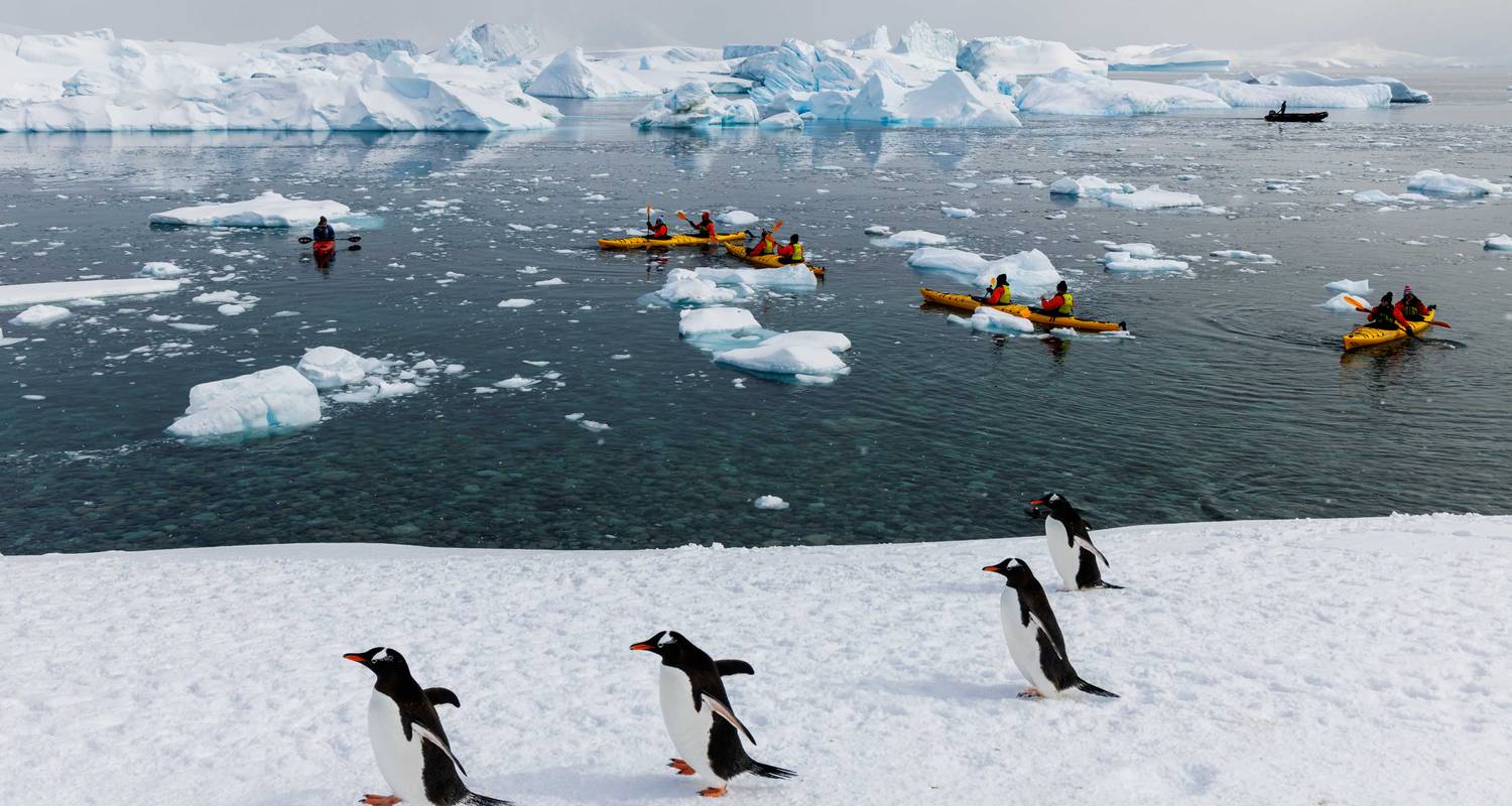 Îles Shetland du Sud et péninsule Antarctique avec options de restauration halal - Albatros Expeditions
