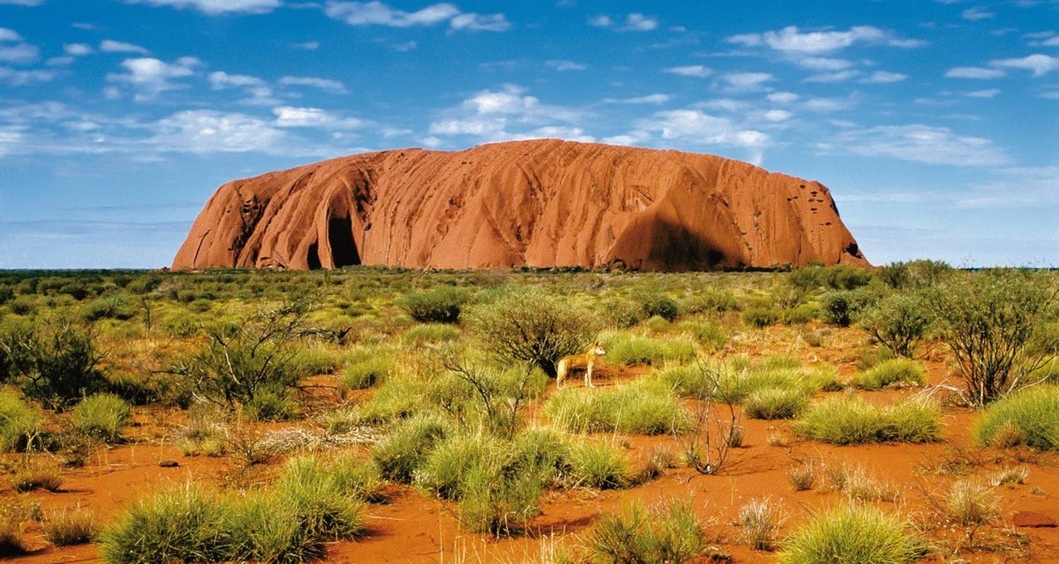 Stad & Cultuur Rondreizen in Great Barrier Reef