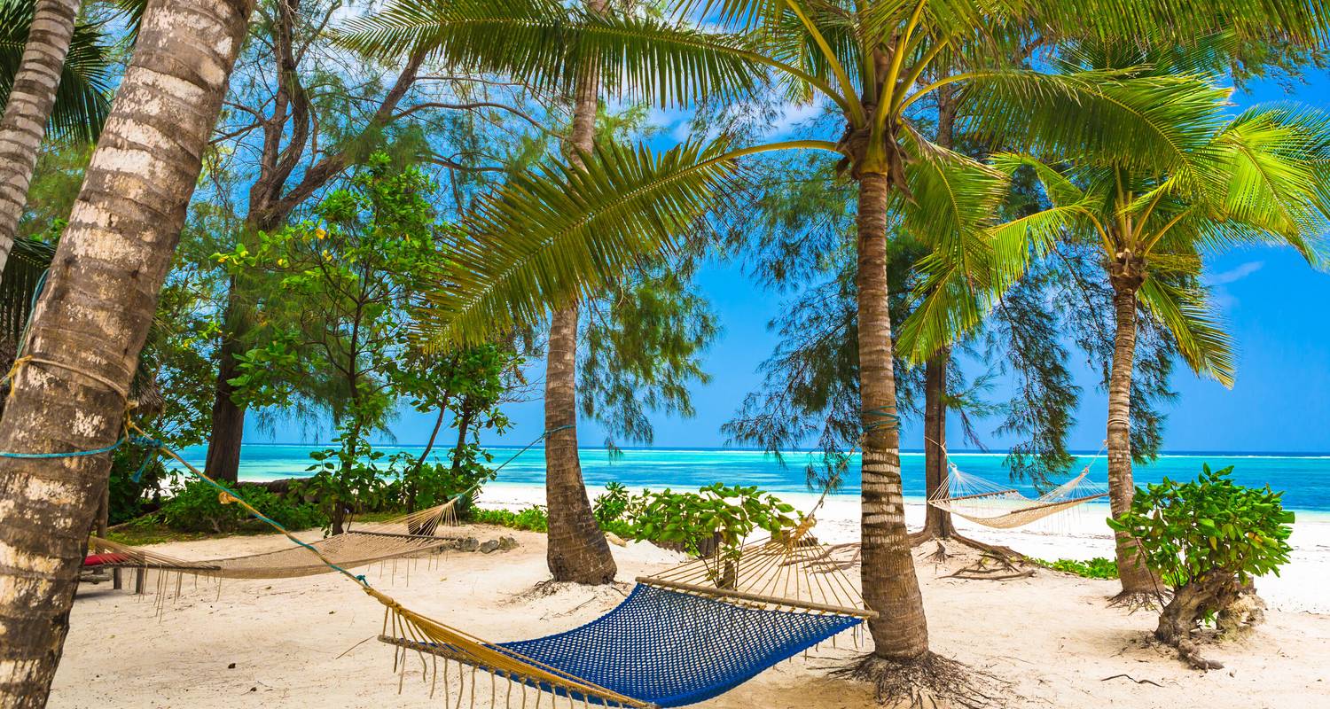 South Africa and Tanzania Tours & Trips