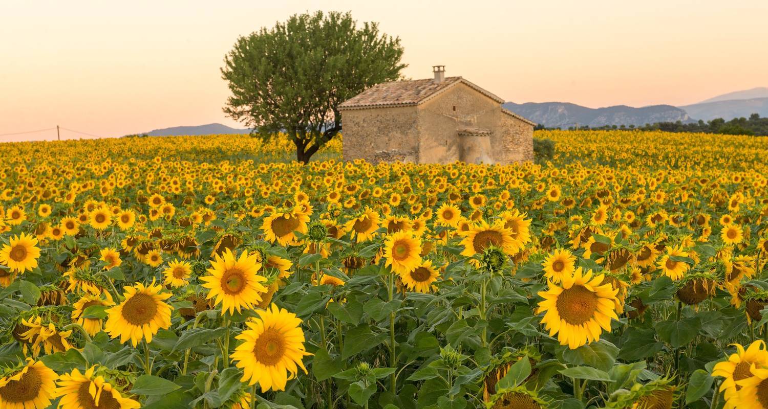 Nuits étoilées en Provence - Authentic Africa