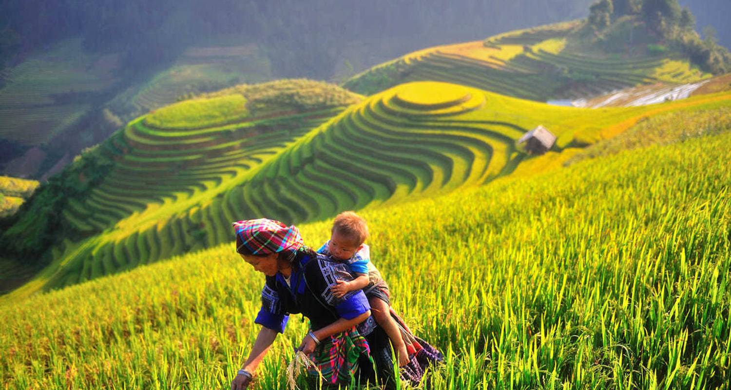 Circuits Vietnam de 10 jours