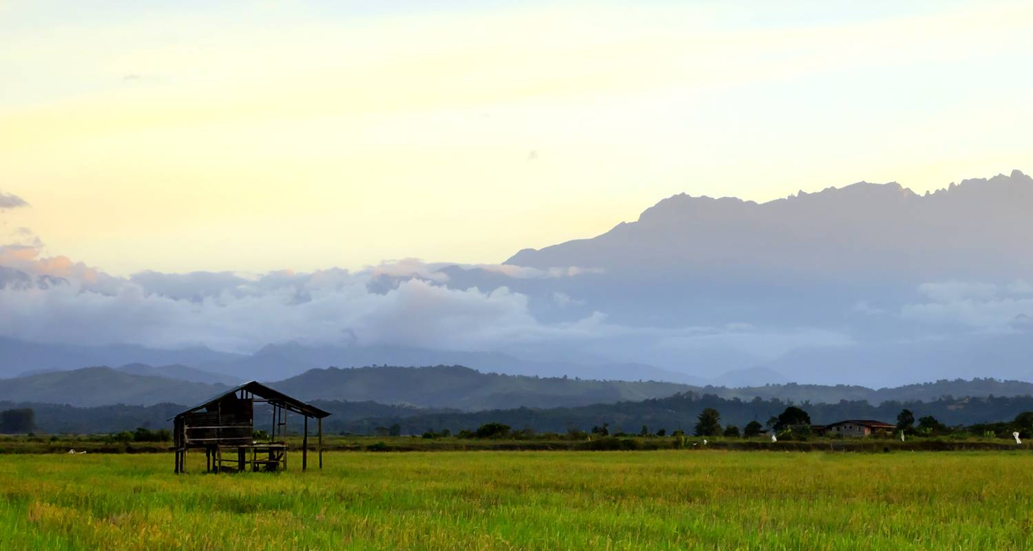 2 Wochen Borneo Rundreisen