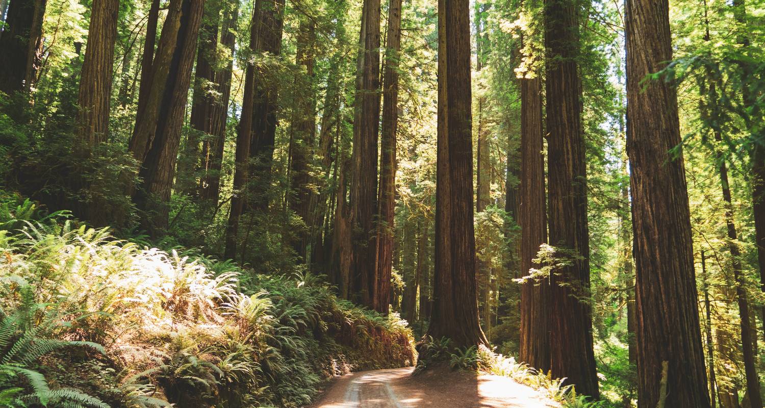 Groepsreizen met kleine groepen in Californië