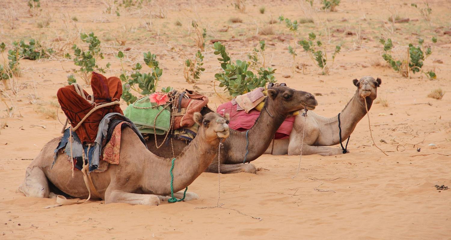 Circuit découverte de la Mauritanie - 8 jours / 7 nuits - Across Africa Tours & Travel