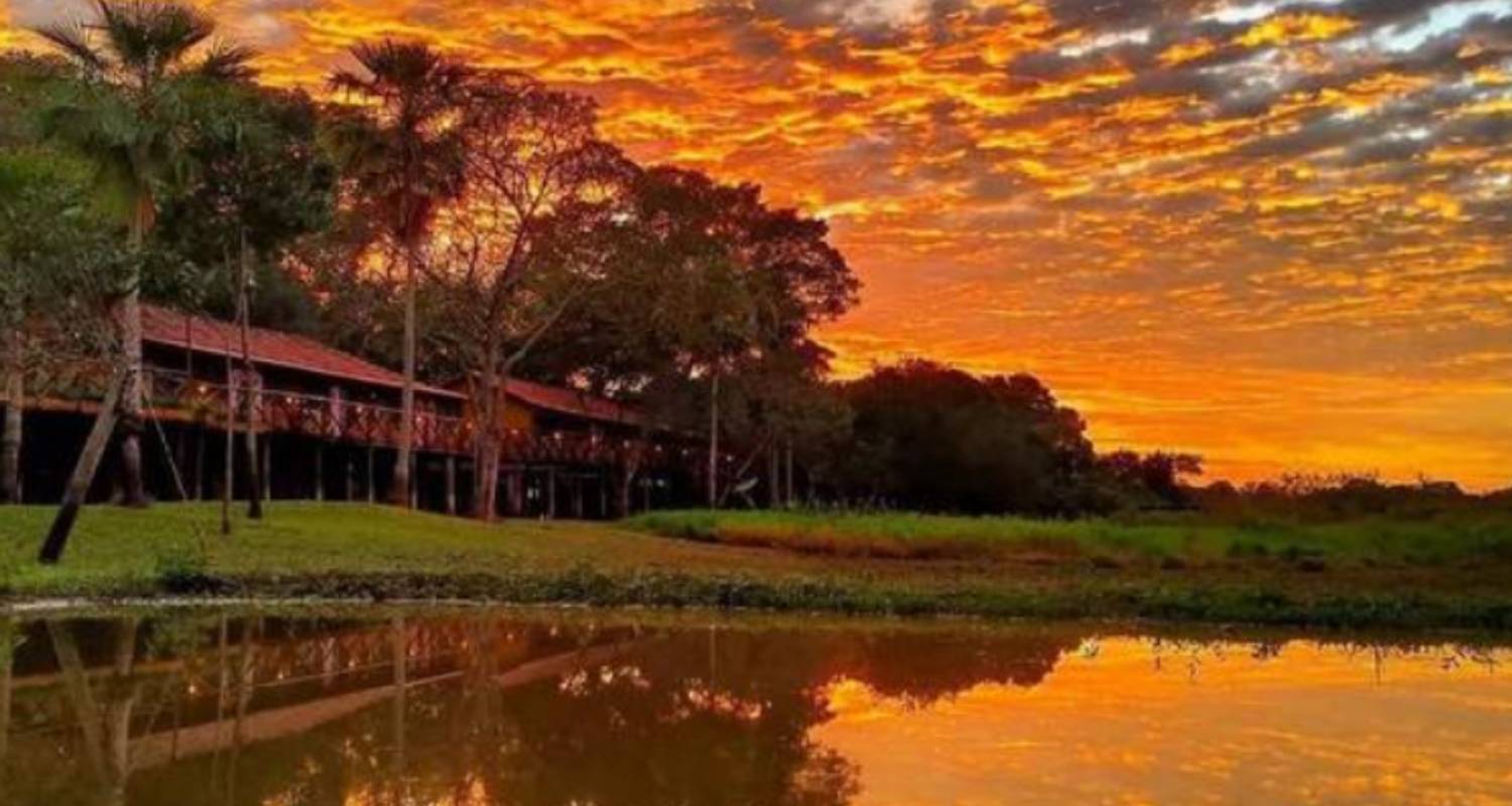 Safaris en América Latina