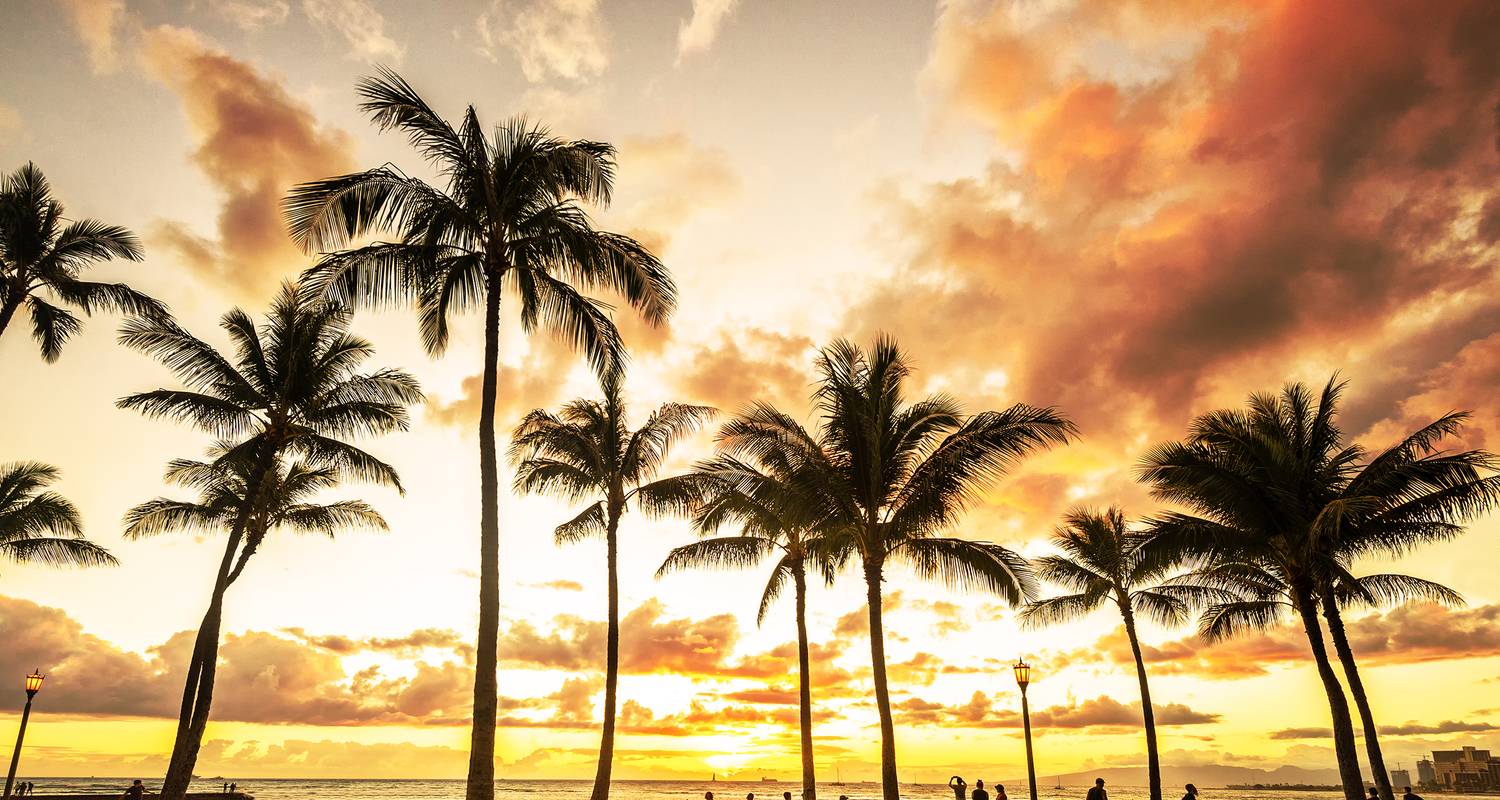 Voyages de Waikiki à Kaanapali