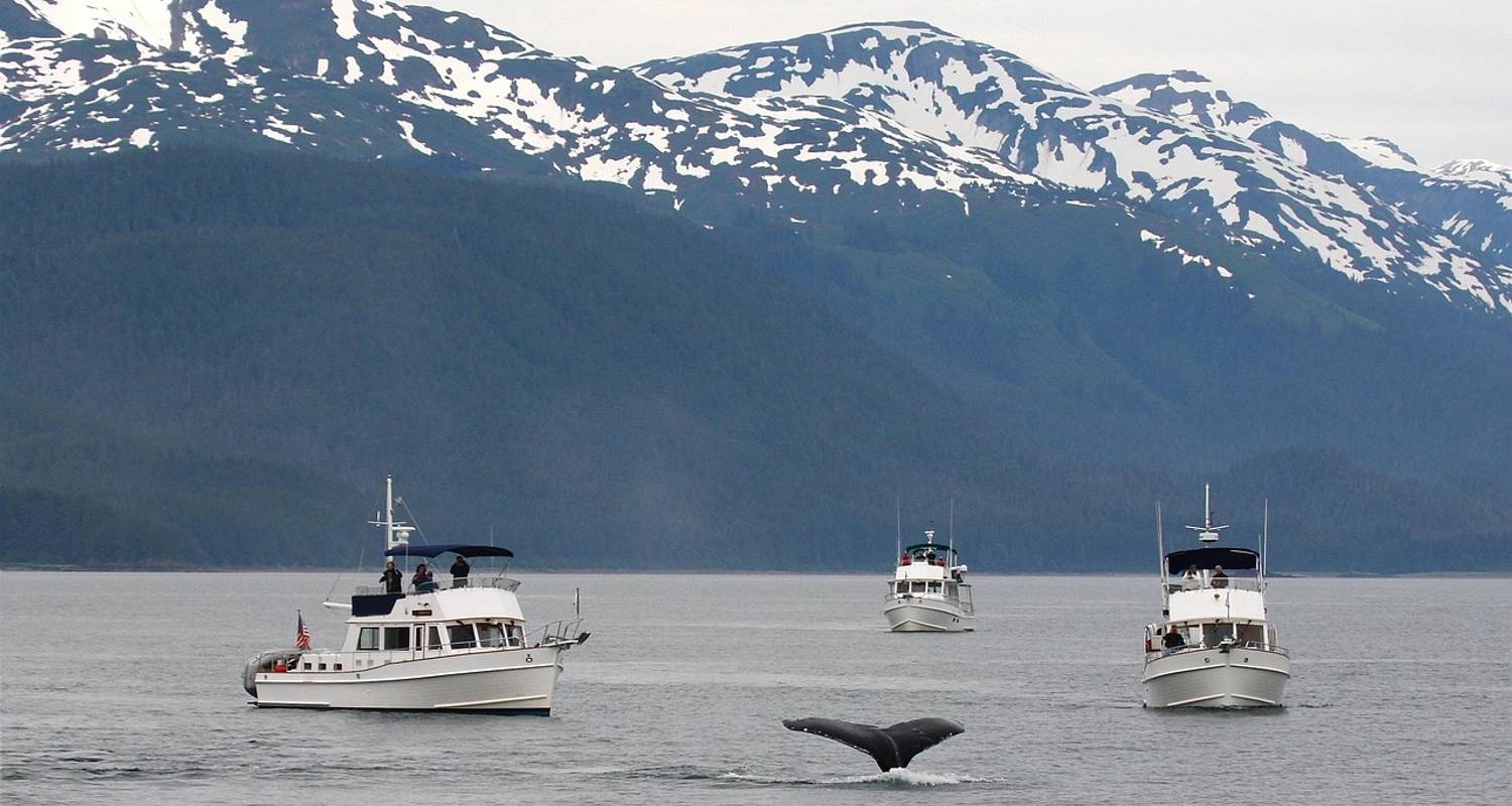 Island Rundreisen 14 Tage