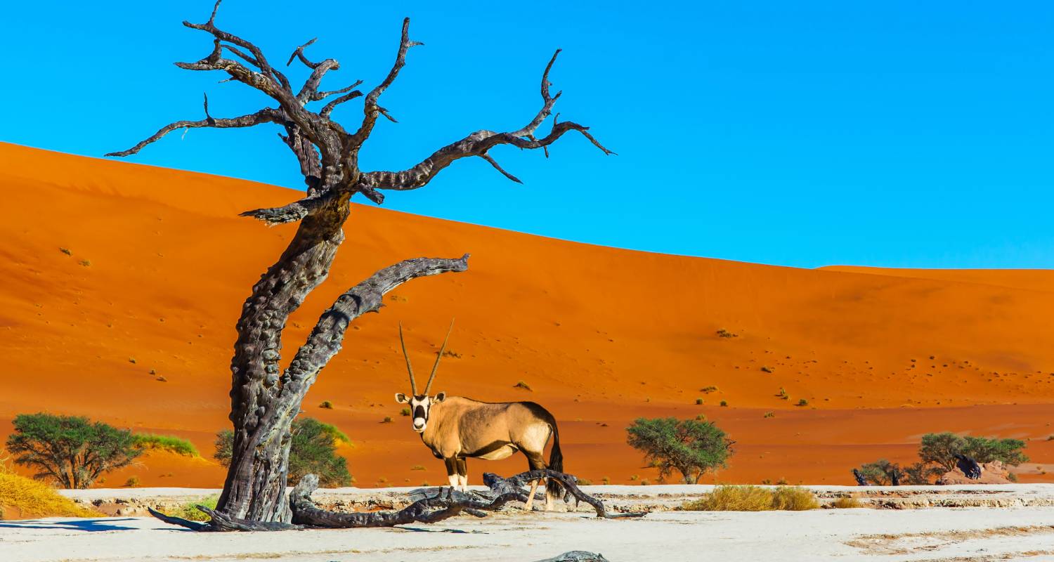Circuits Namibie pour les seniors