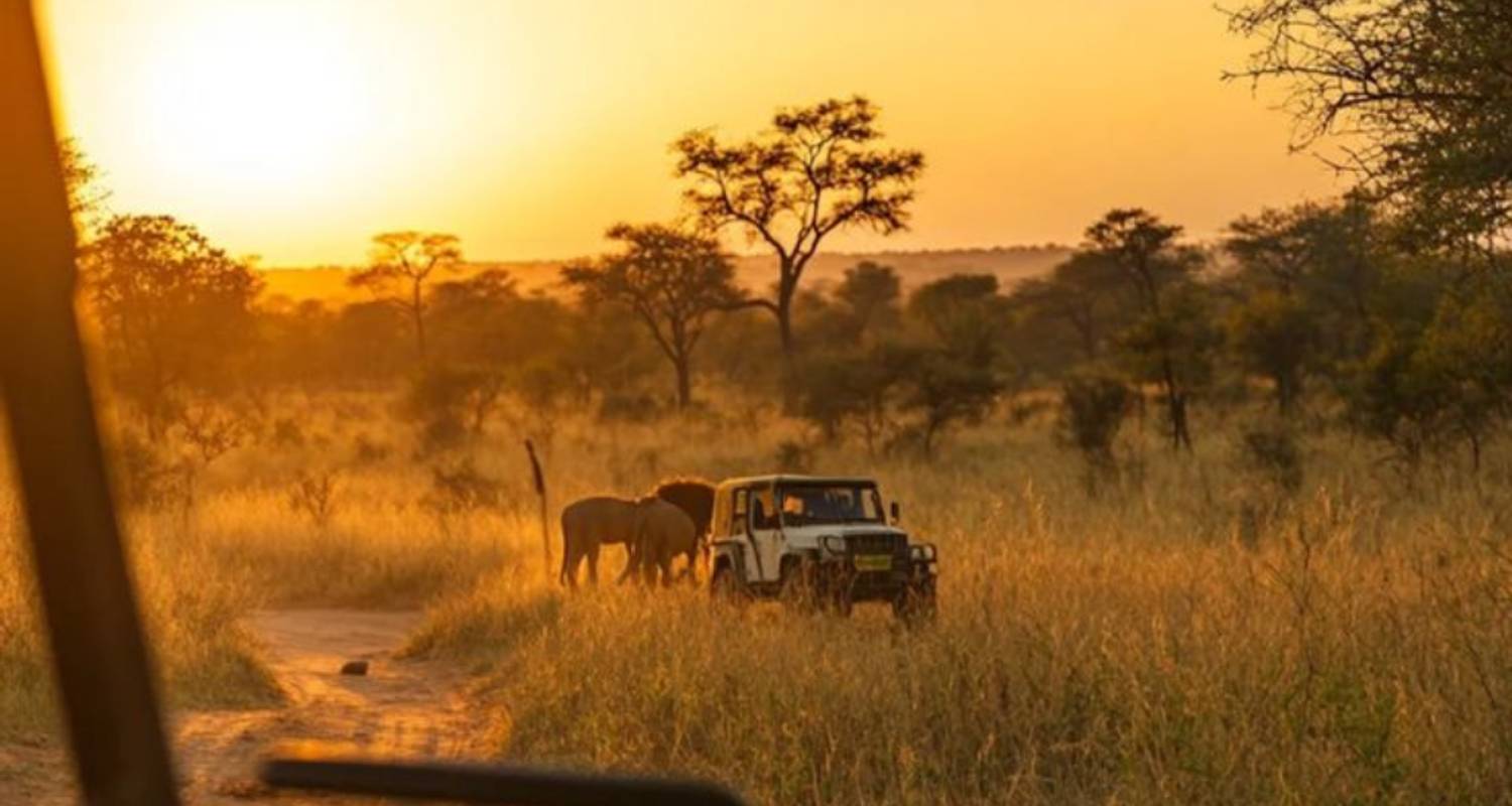 3-Day South Africa Tour Packages