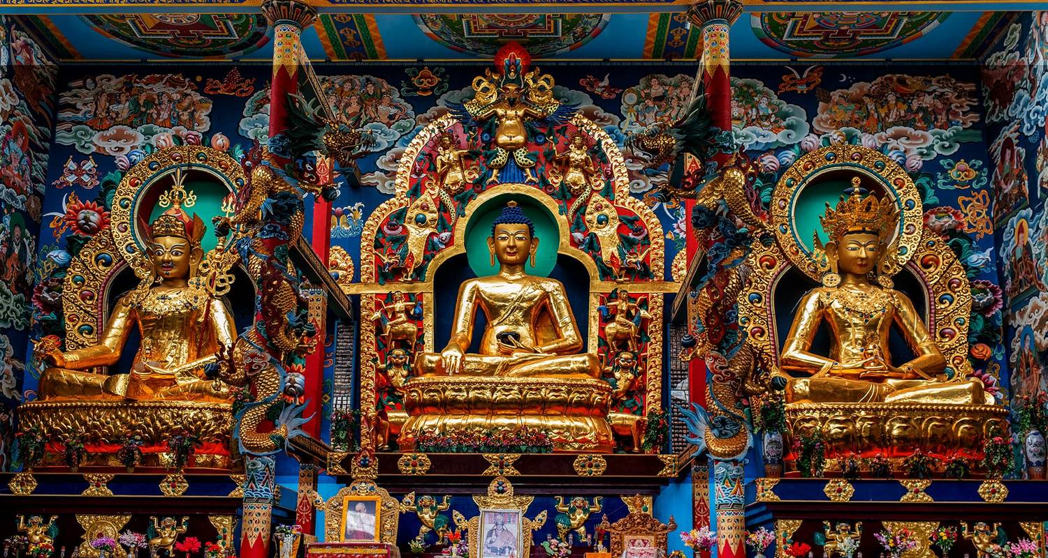 Tranquilidad tibetana: Excursión de un día de Bangalore al Monasterio de Namdroling - Agora Voyages OPC Pvt Ltd