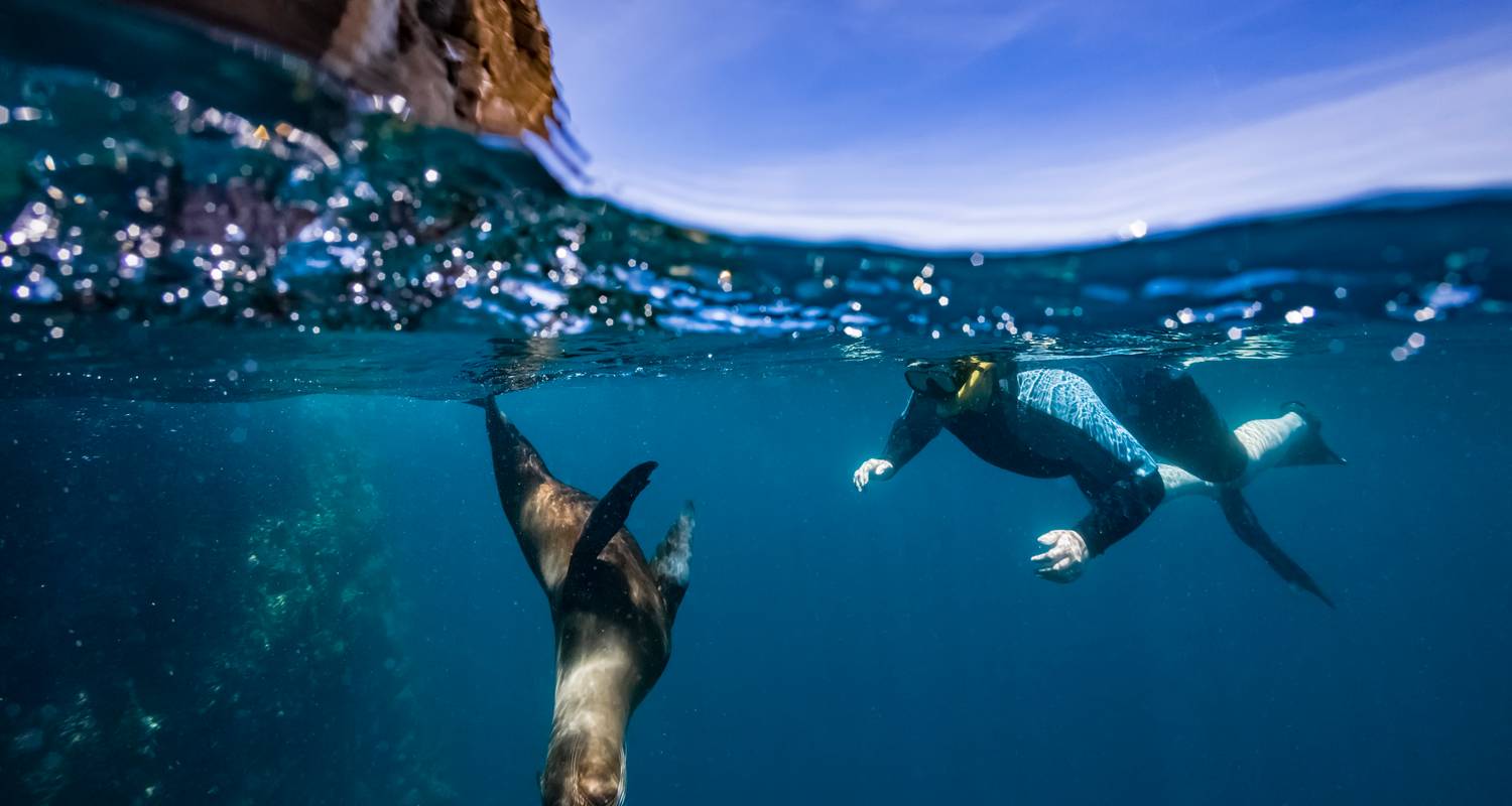 Galapagos Inseln Reise von Guayaquil