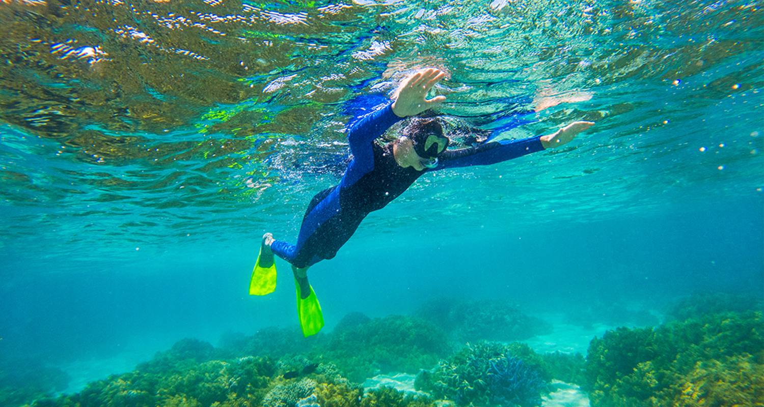 Great Barrier Reef Rondreizen die beginnen in Sydney
