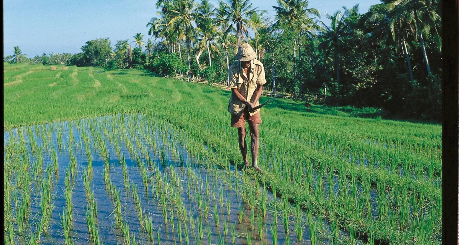 Cultuurfotografie Rondreizen in Bali