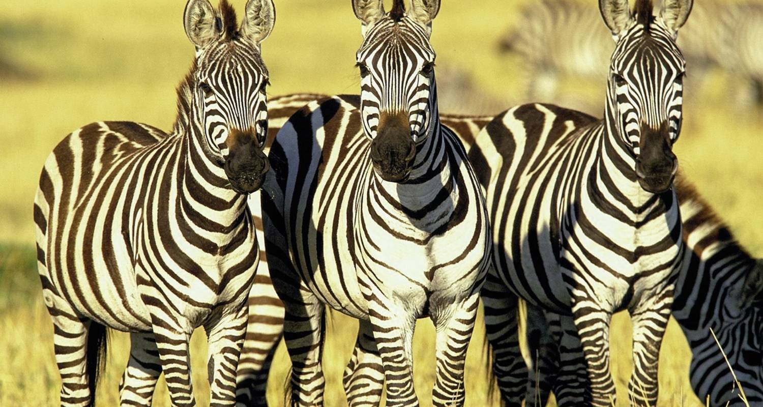 Circuitos Senderismo por la Naturaleza de 2 semanas