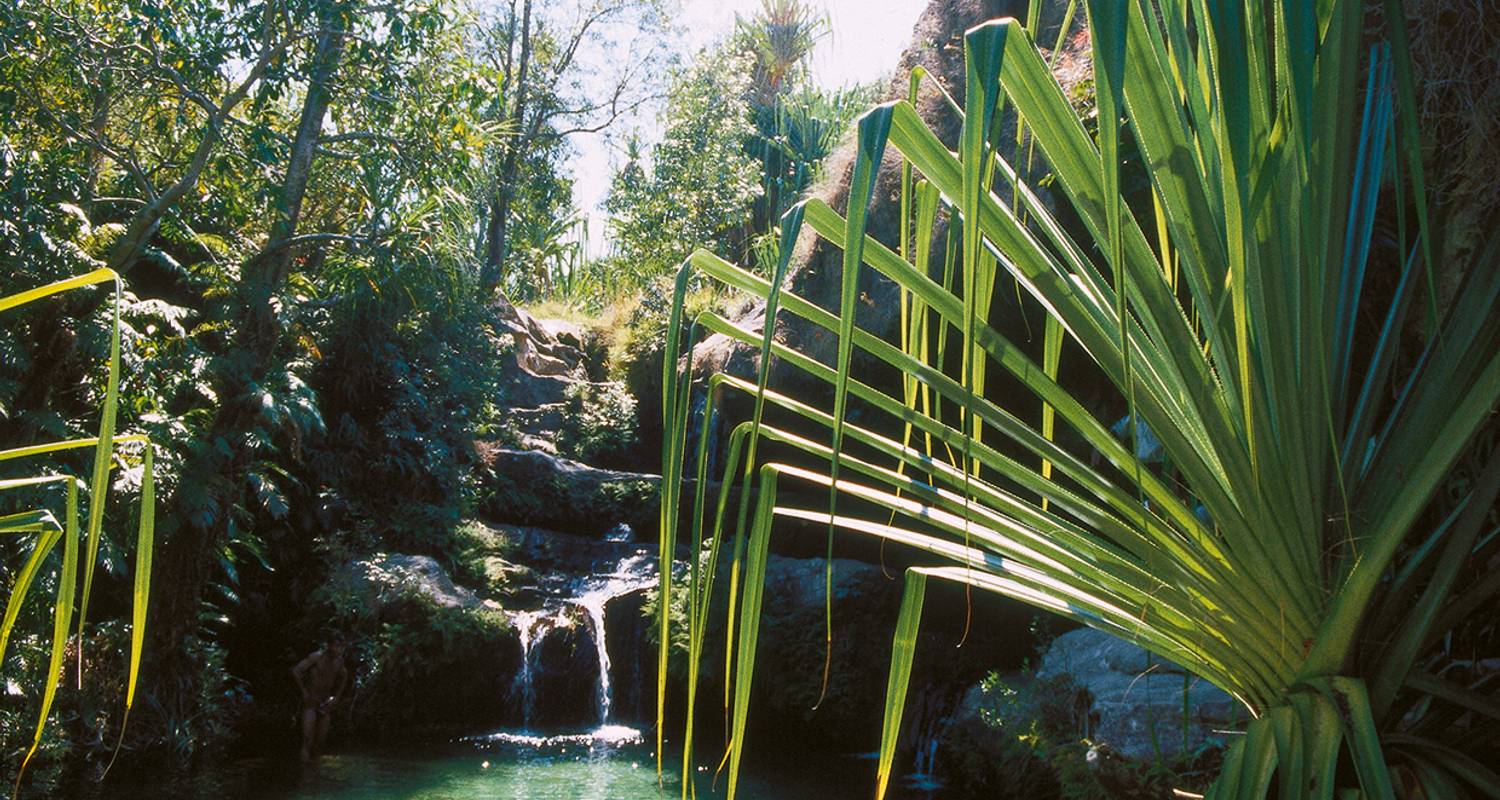 Madagaskar Wildlife Tour