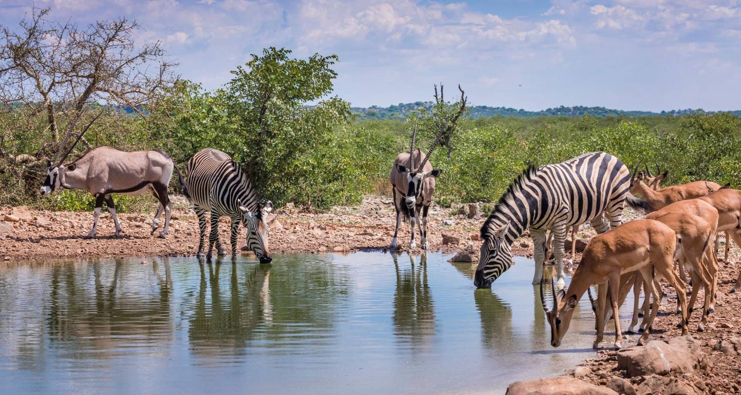 Circuits au Botswana et Zambie