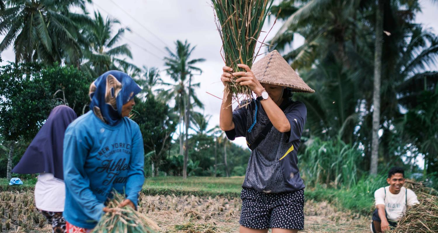 Bali Circuitos 7 Días