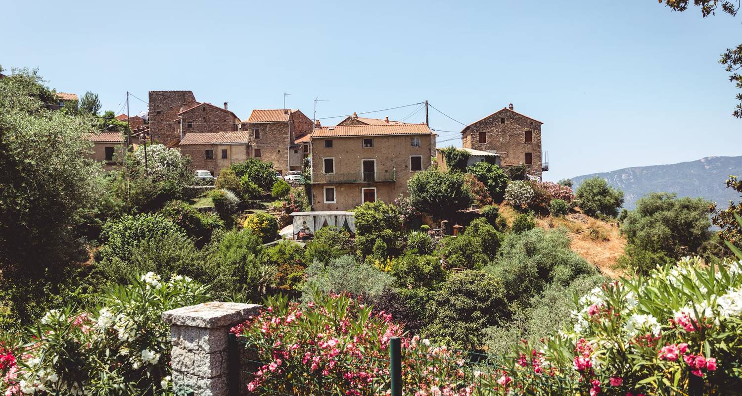 Corsica Tours & Trips