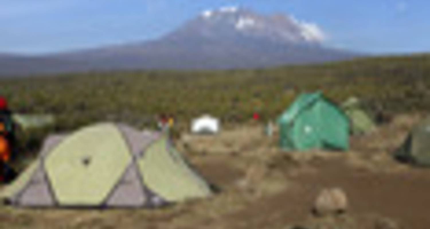 Family Tours & Trips in Umbwe Route