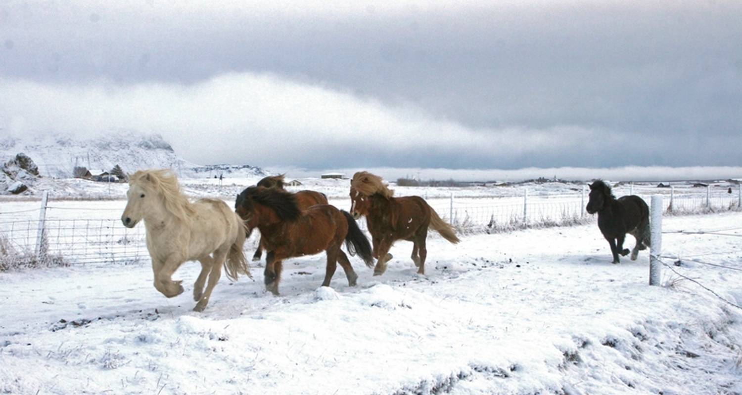 7 Tage Island Rundreisen