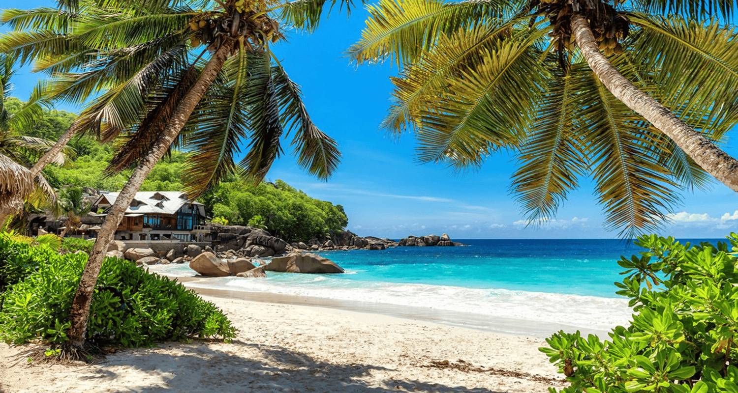 Zanzibar Tours for Solo Travelers