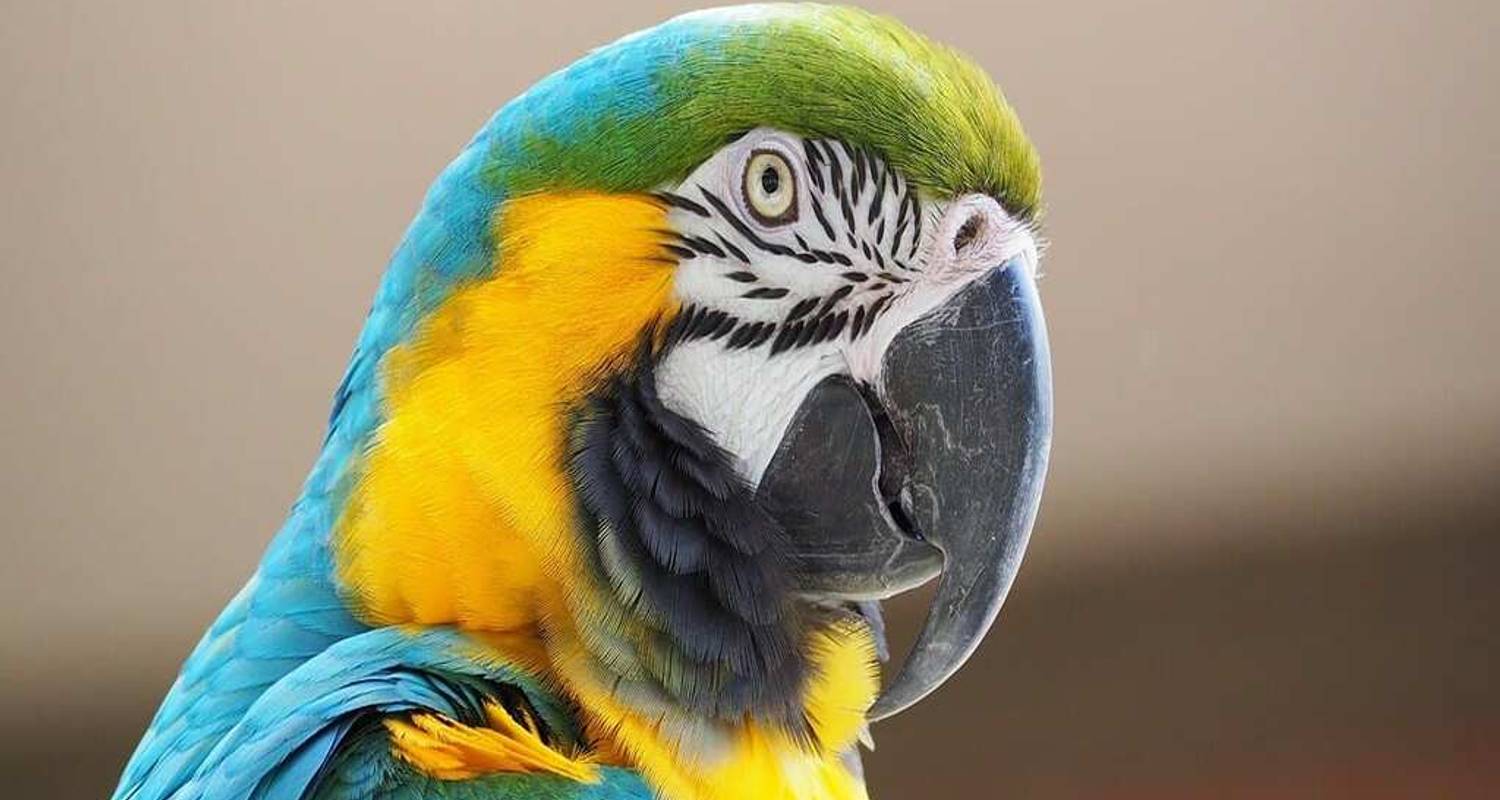 Ecuador Amazonas Rundreisen