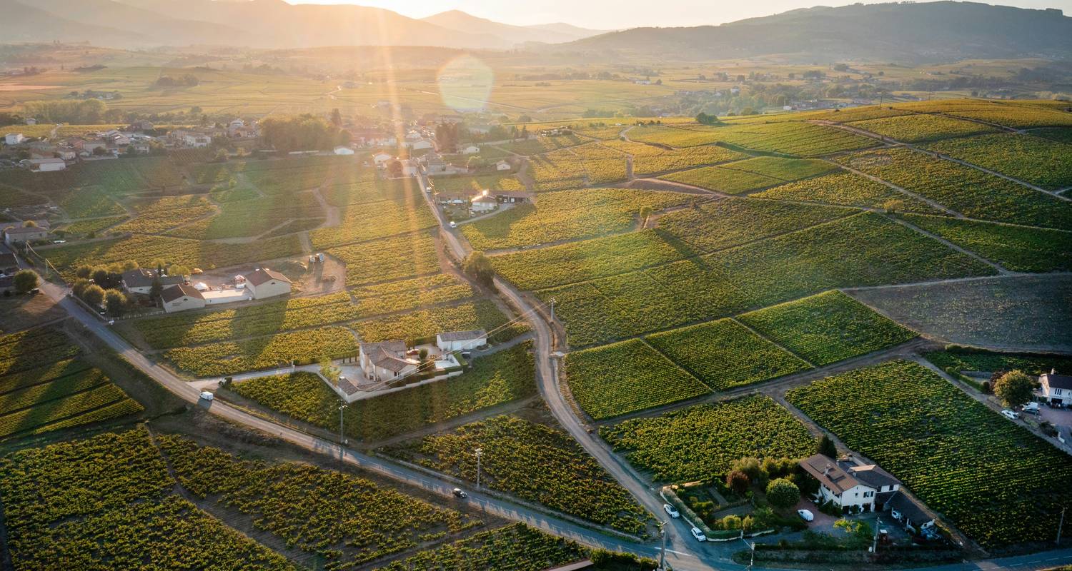 Cuisine et vin dans un château français (2025-2026) - Contiki