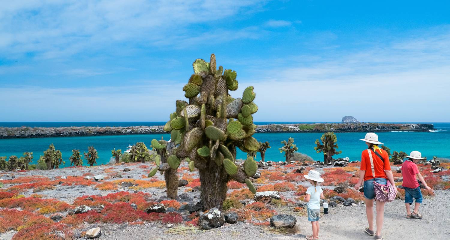 Circuitos en Islas Galápagos para adultos jóvenes