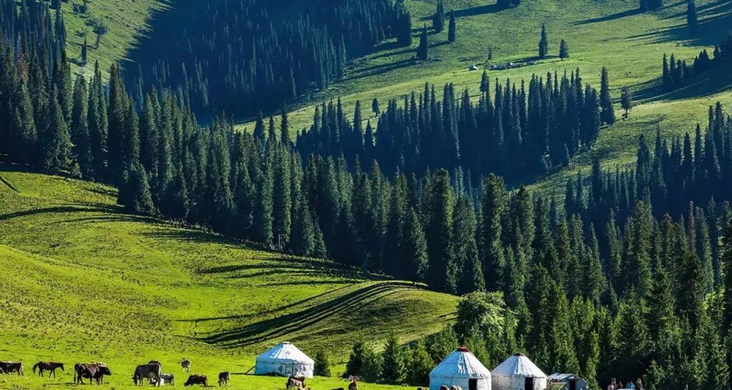 China Small Group Tours