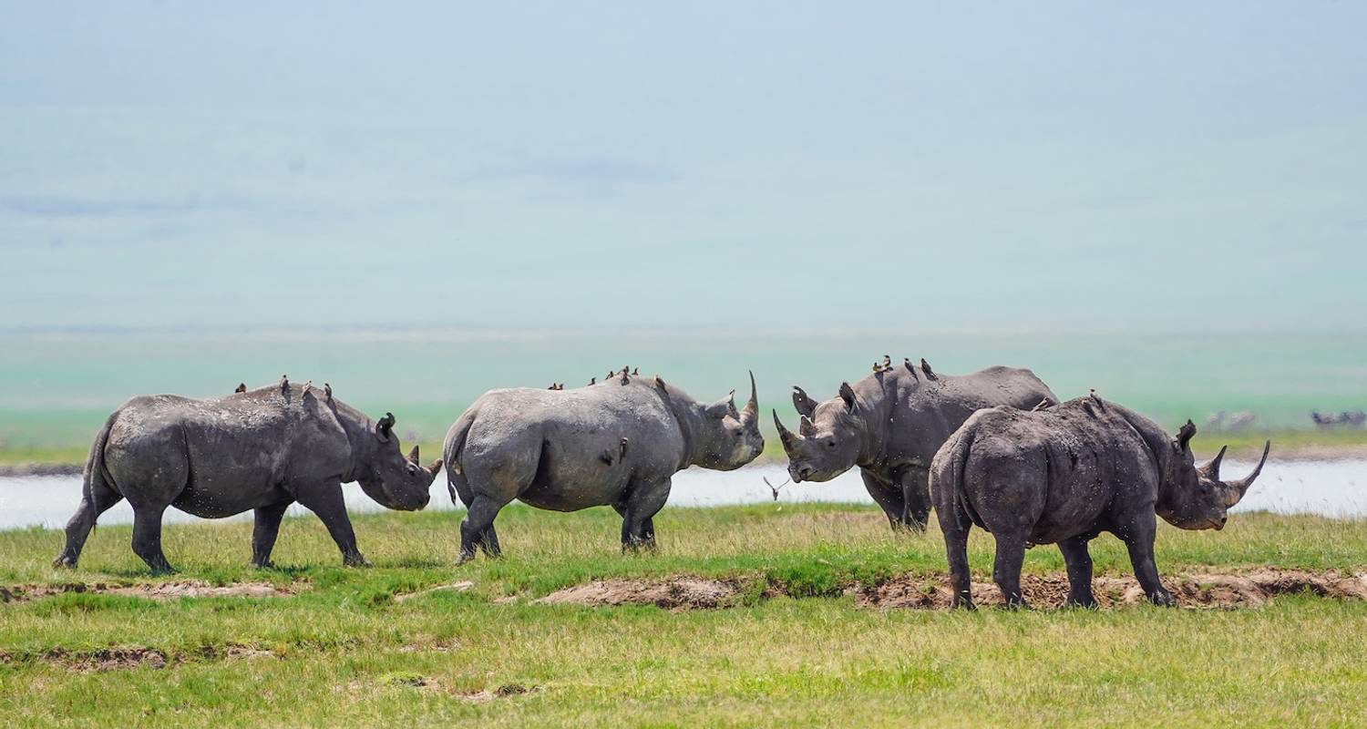 Circuits Tanzanie de 10 jours