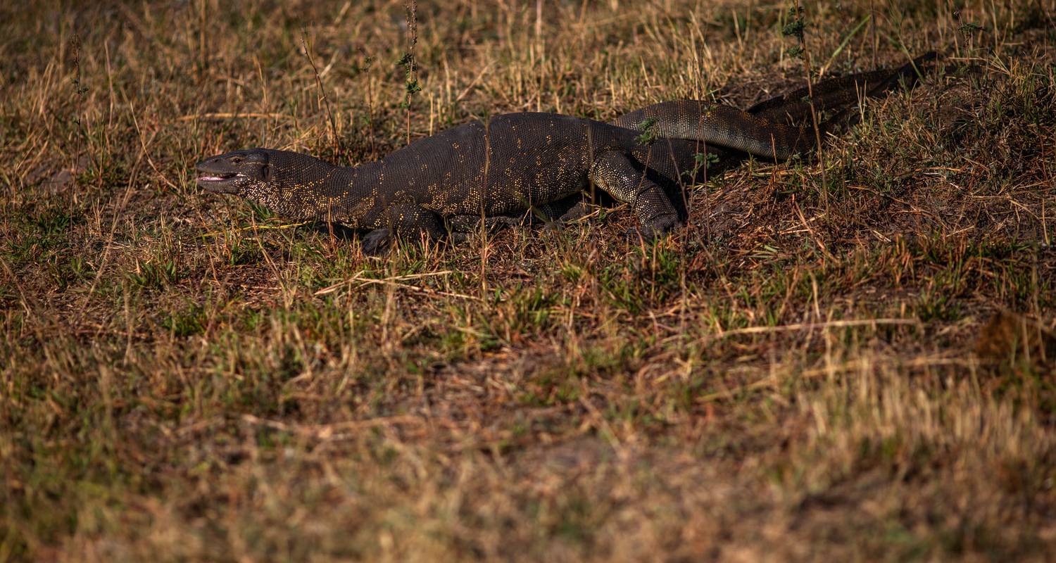 Nature & Wildlife Tours in Indonesia