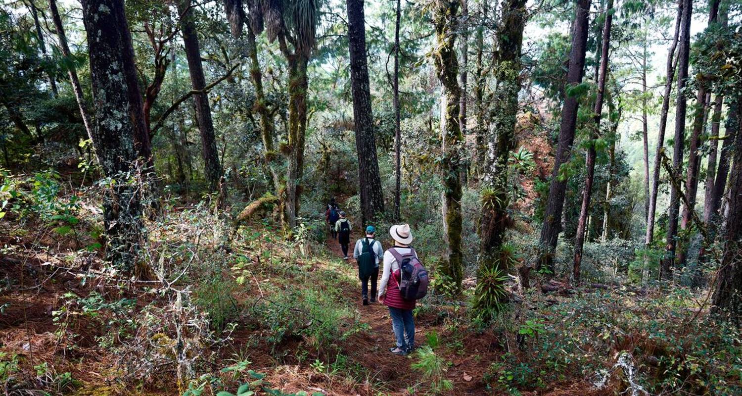 Günstige Reisen in Mexiko