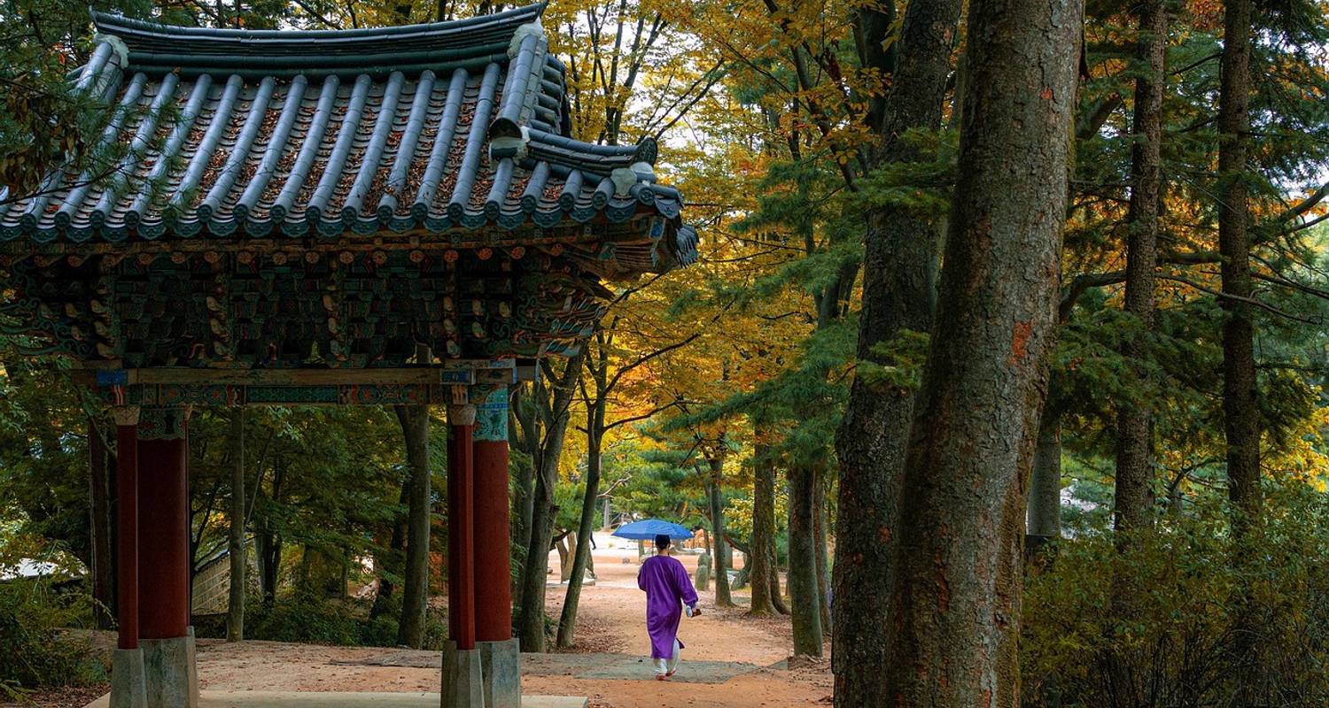 2-Week South Korea Tour Packages