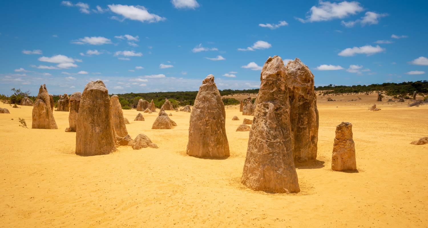 Ningaloo Reef Tours from Perth