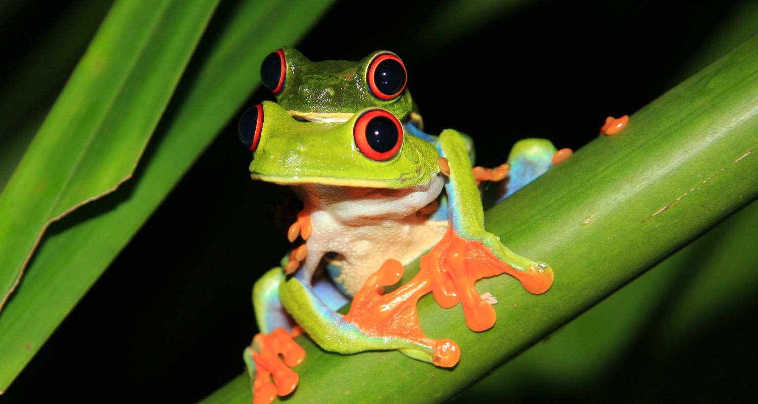 Circuitos por Costa Rica de 3 semanas