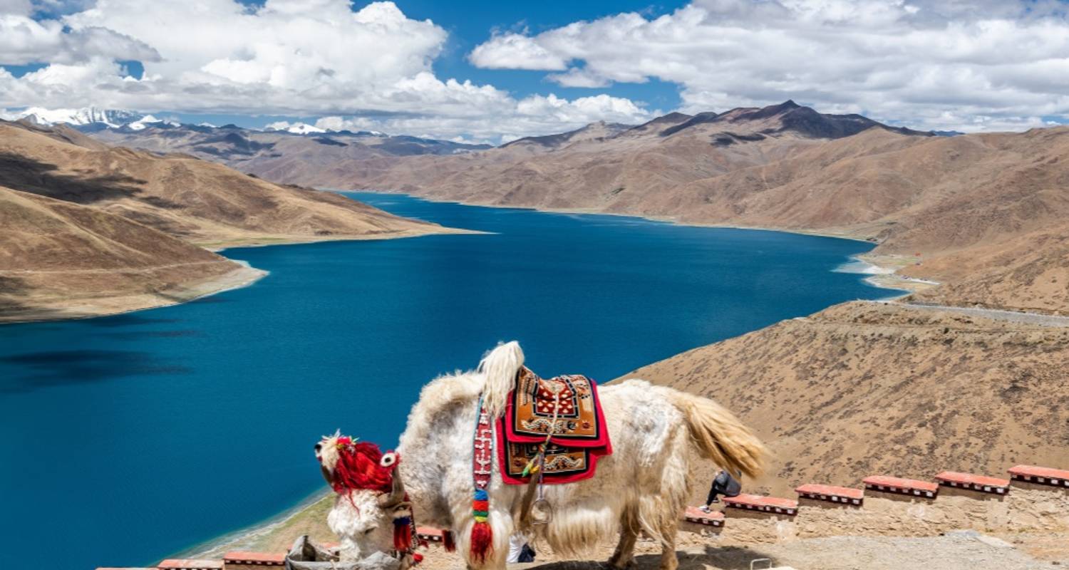 Tibet Wandern & Trekking