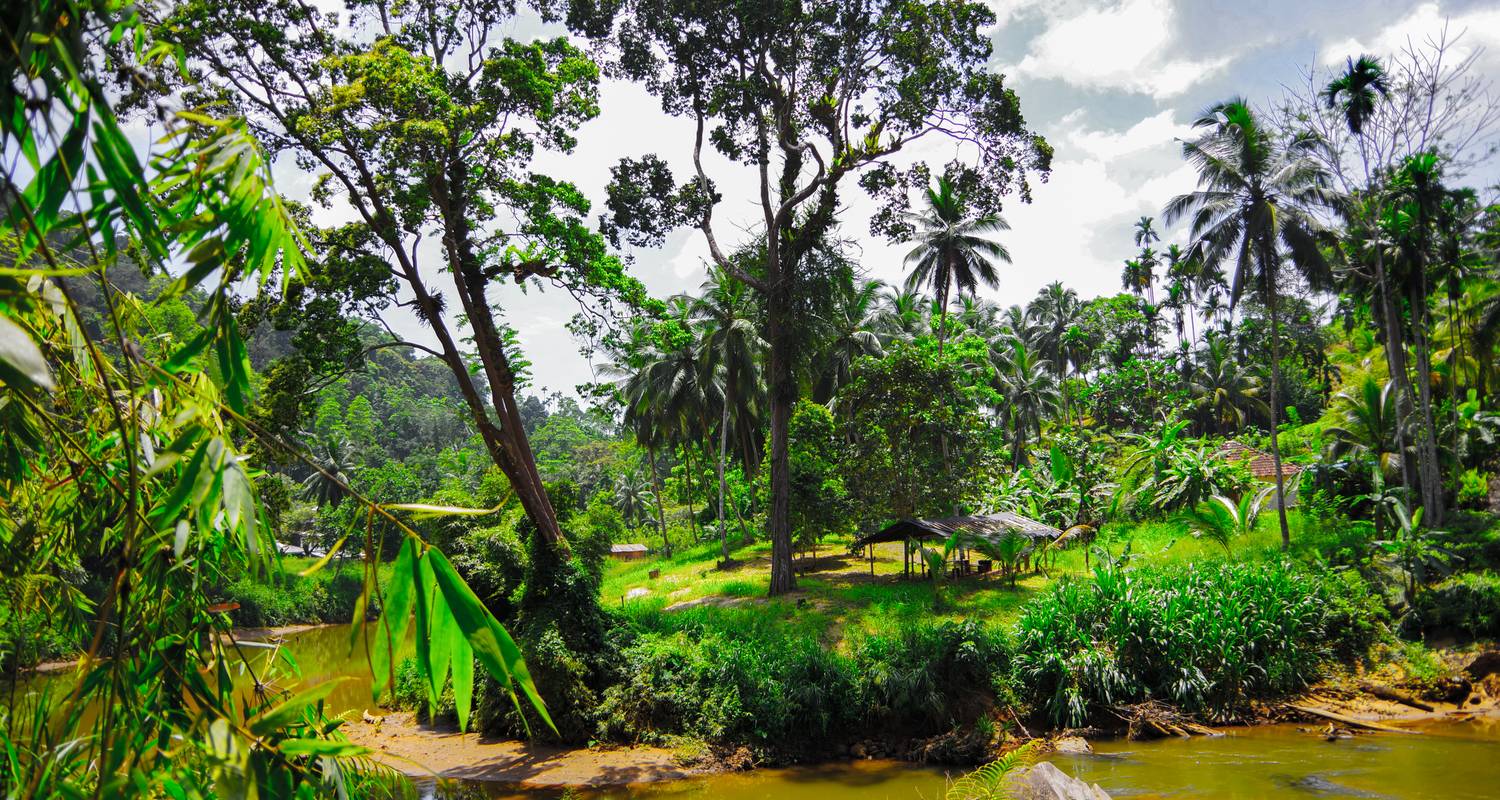 Fotografía Cultural Circuitos en Sri Lanka