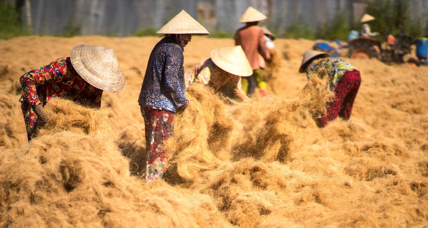 Vietnam & Cambodge - Tour à vélo du delta du Mékong à Angkor Vat (12 jours) - ASI Reisen