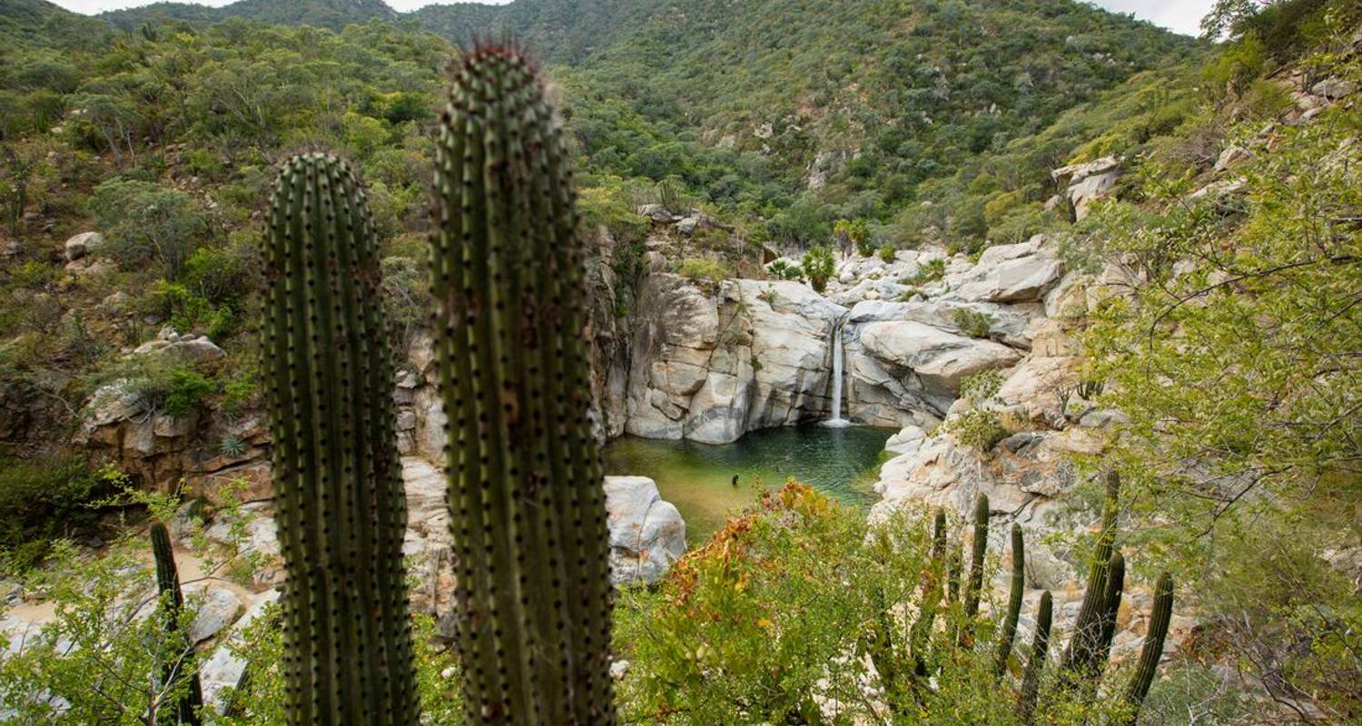 7-Day Mexico Tour Packages