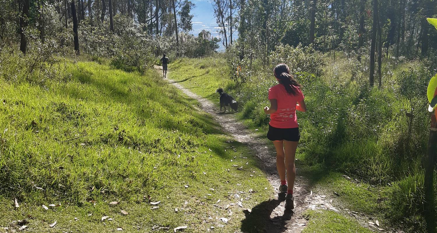Visita turística circuitos en Avenida de los Volcanes
