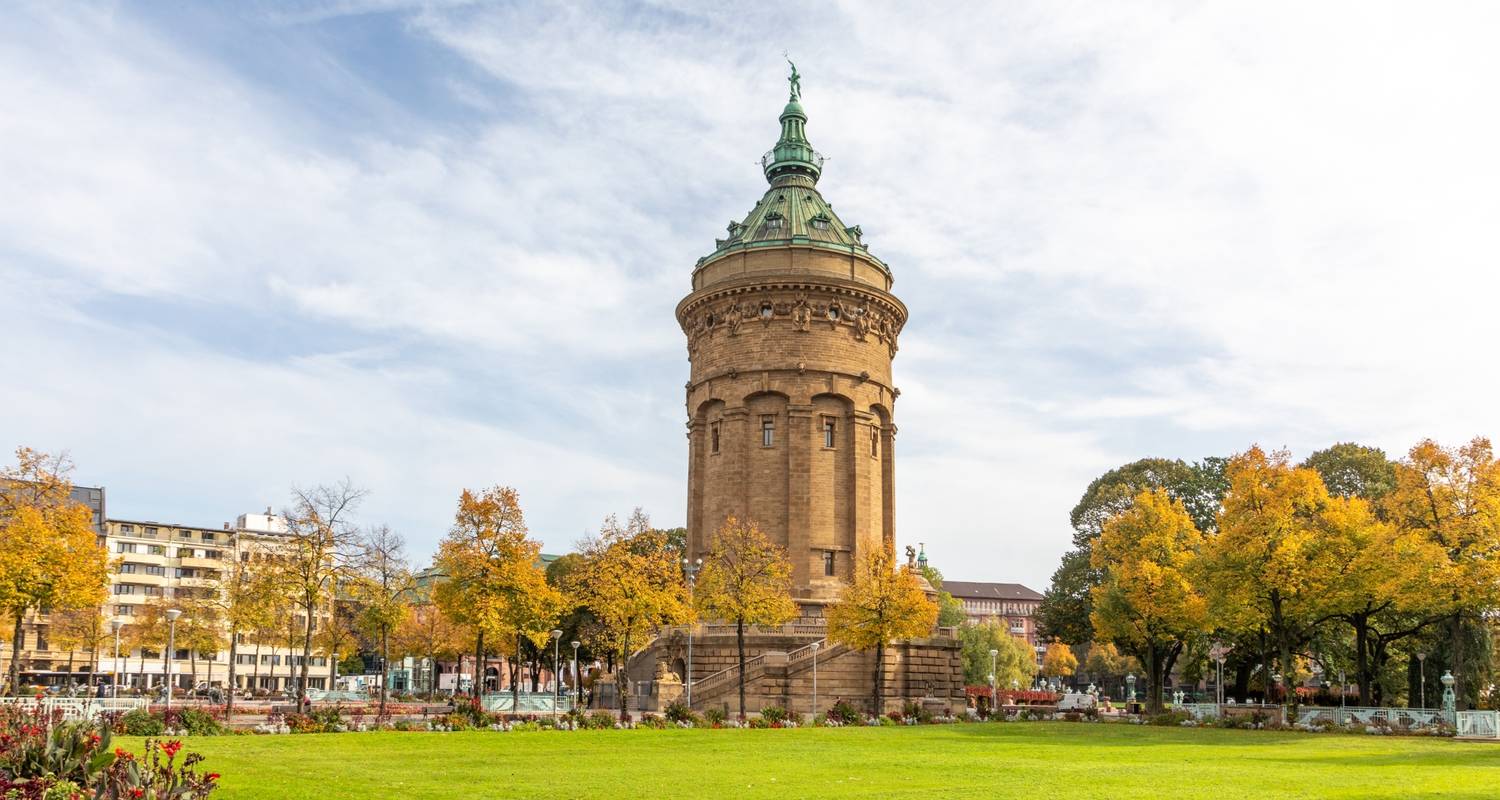 Rijn Riviercruises in Augustus 2026