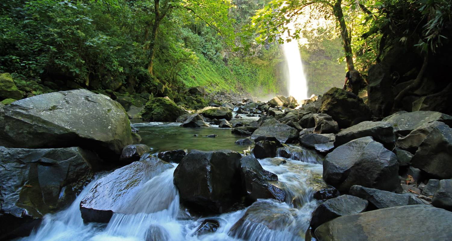 Natuur & Wilde dieren Rondreizen in Costa Rica