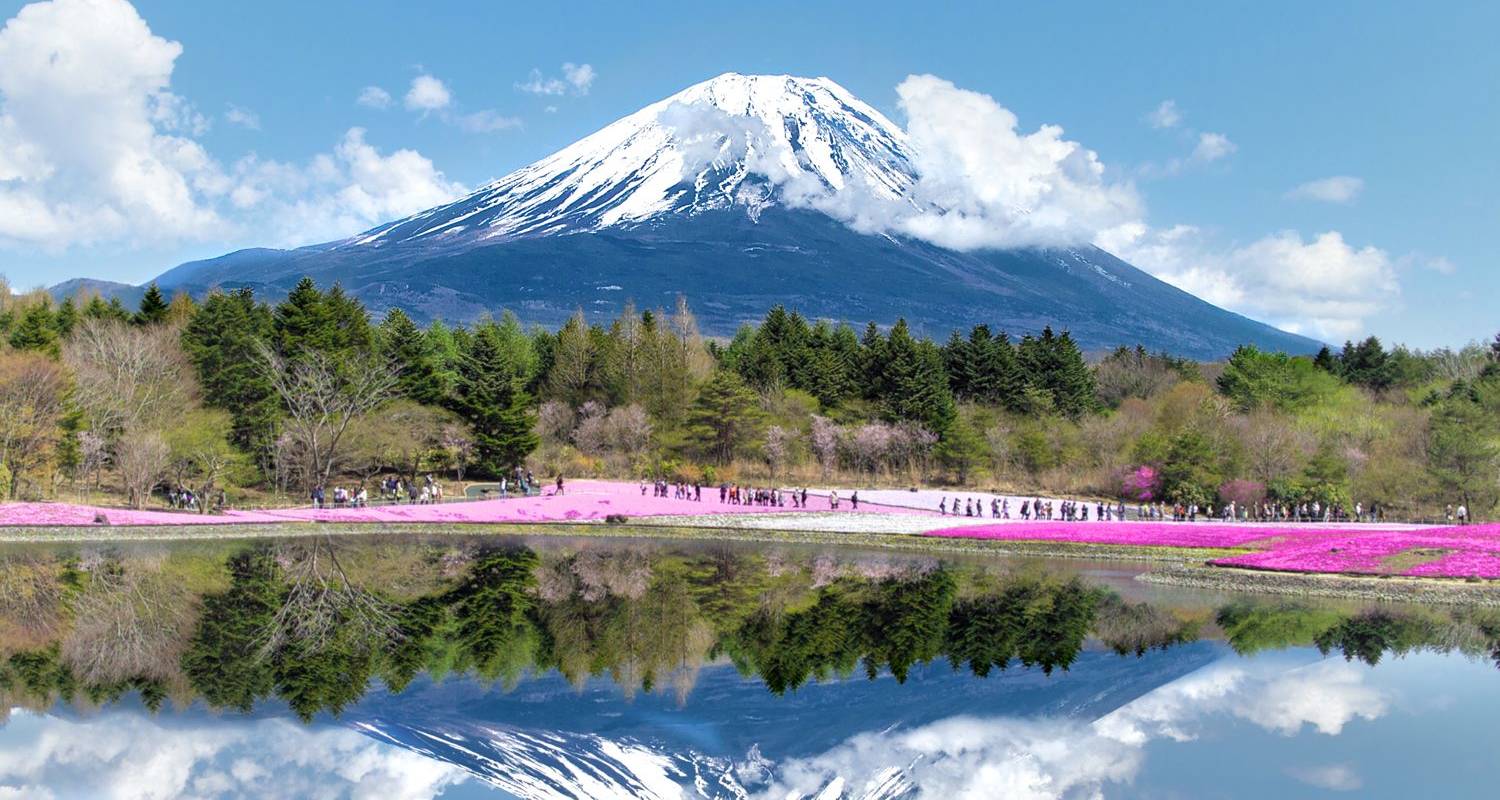 Circuits aux Mont Fuji