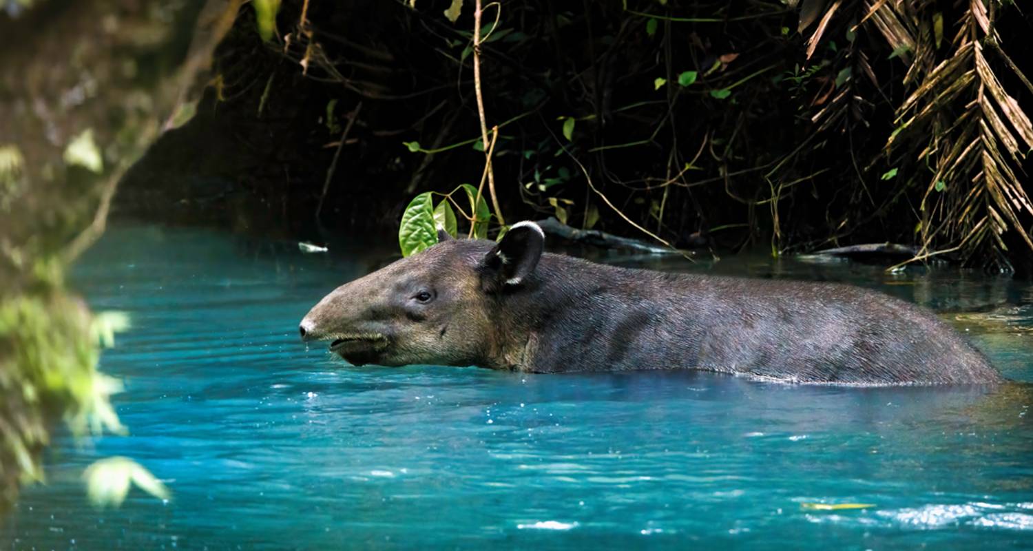 Lokaal wonen Rondreizen in Costa Rica